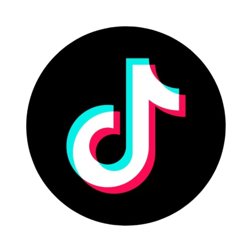 TikTok Icon